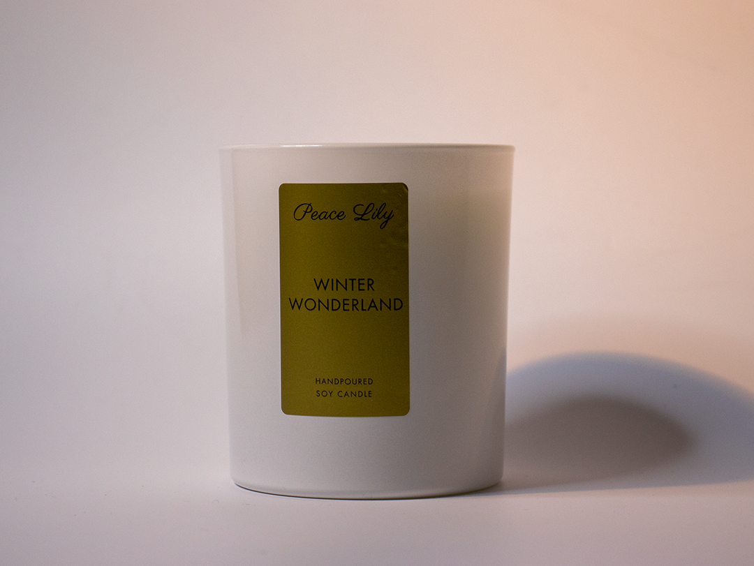 Winter Wonderland Scented Candle 30cl