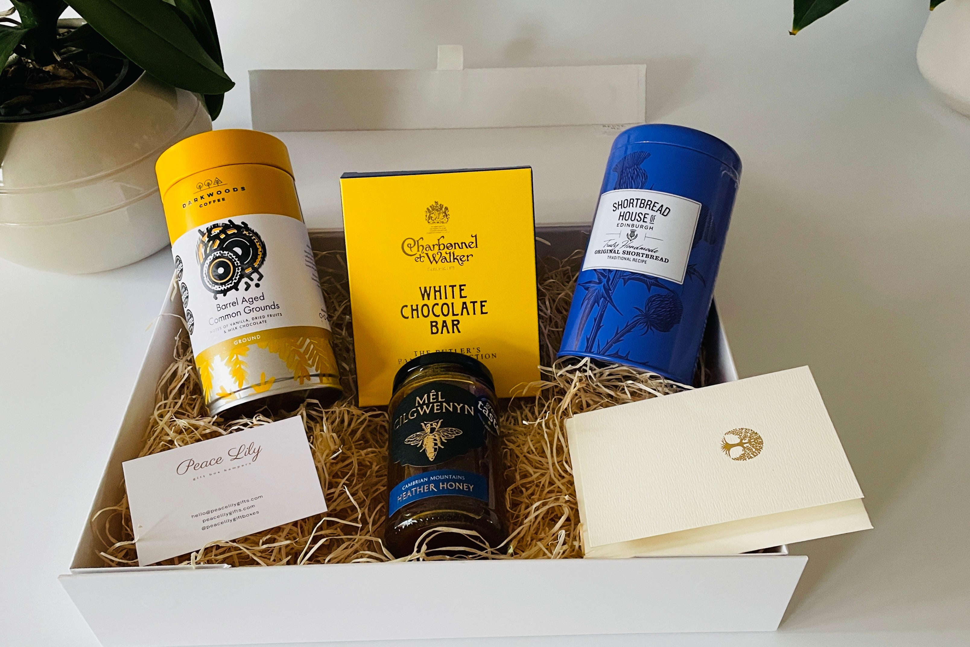 Luxury Coffee Travel Mug Gift Box India 2022 | The Gift Tree